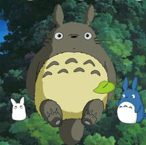 totoro